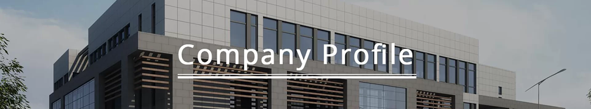 Company Profile